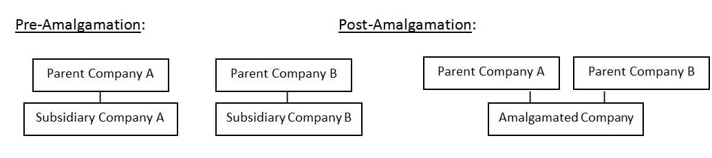 Corporate amalgamations